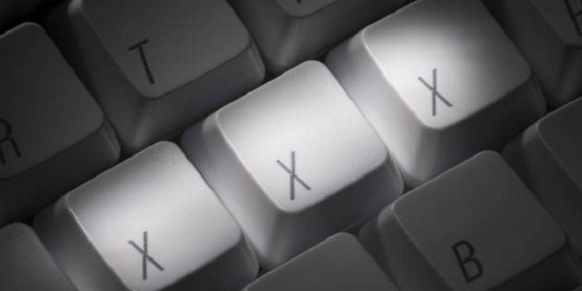 Hoy debutaron los dominios para páginas pornográficas