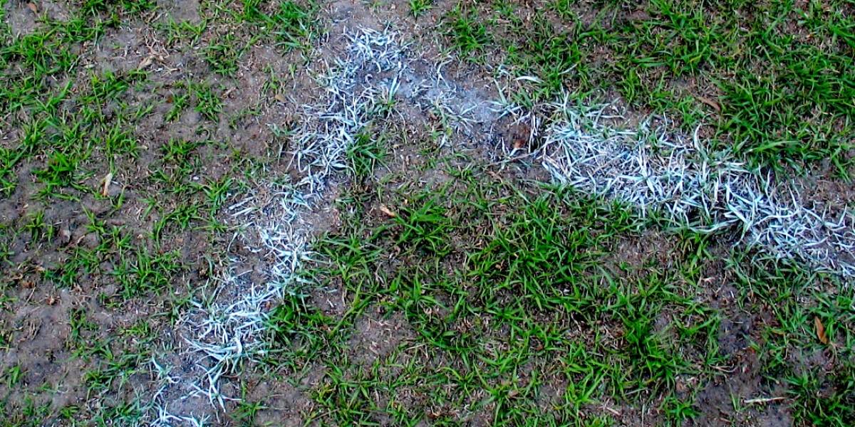 GrassMaster y Jabulani: Cuando la tecnología ayuda poco y nada