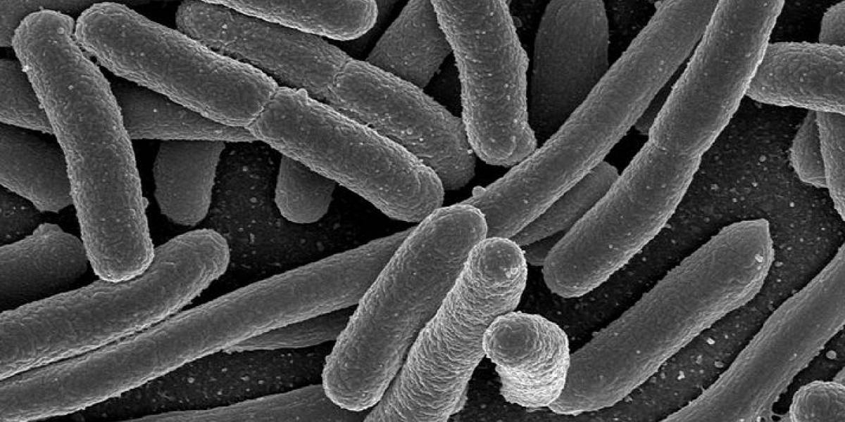 México: El gobierno abre laboratorio de bioseguridad