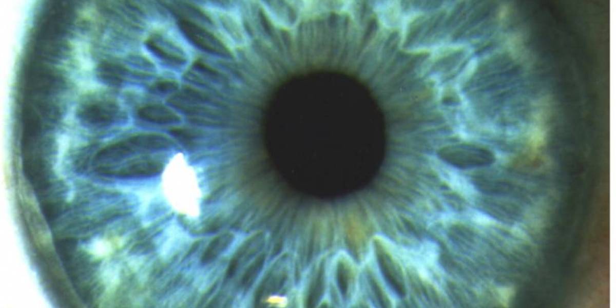 México, país pionero en la inclusión de la imagen del iris en la cédula de identidad