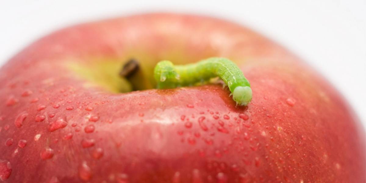 Apple fue hackeada aparentemente por atacantes chinos, dice Reuters
