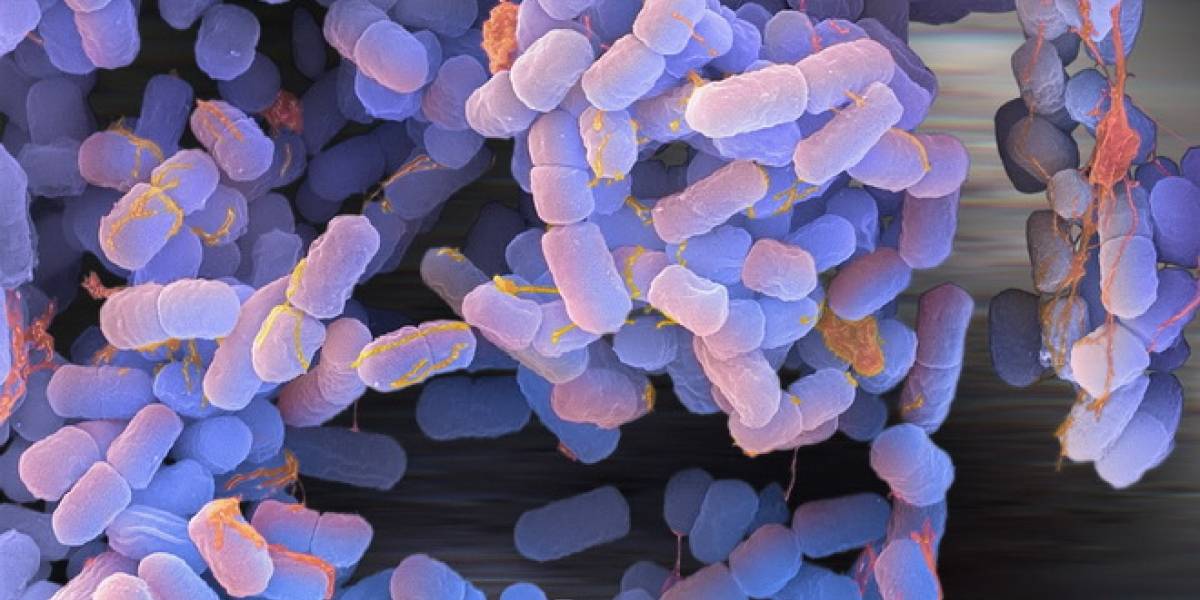México: Científicos logran modificar el ADN de las bacterias