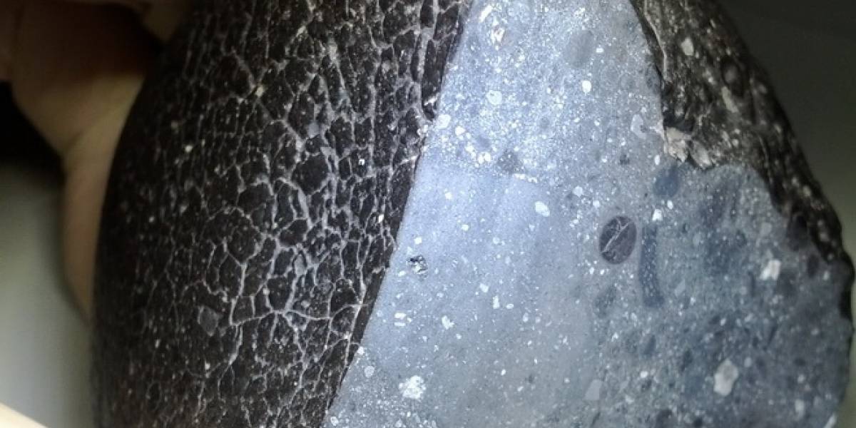 Un Meteorito que vino de Marte es único en su género