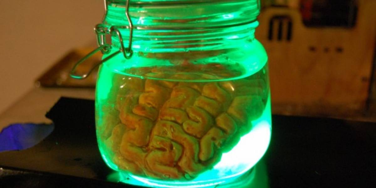 Científicos logran crear recuerdos de corto plazo en el cerebro