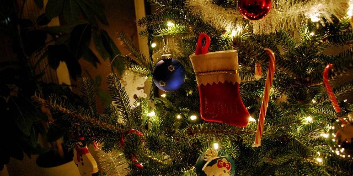 Feliz Navidad y Próspero Año Nuevo les desea Niubie