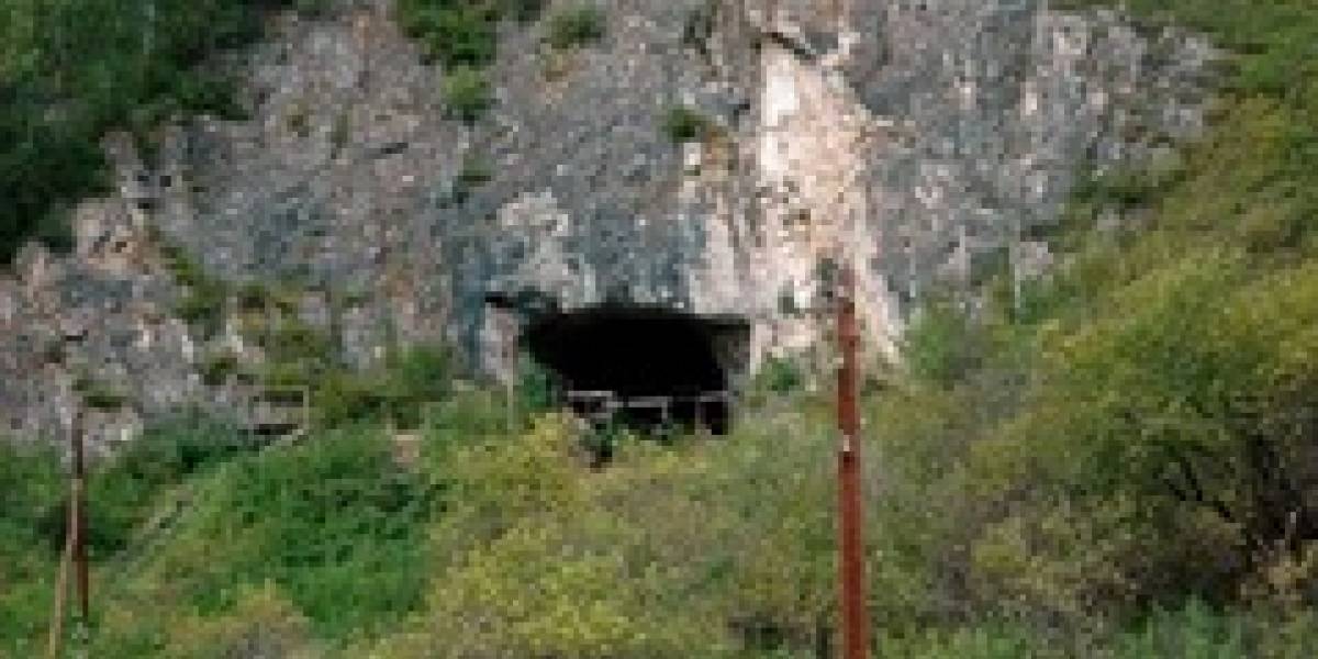 Investigadores descubren un nuevo linaje de humanos ancestrales