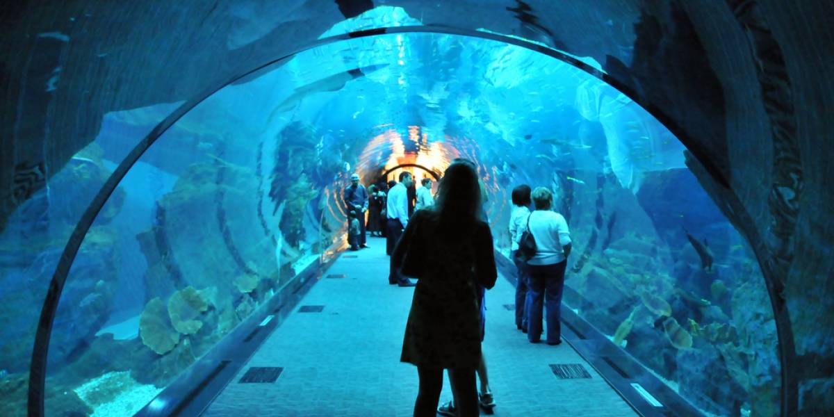 Cierra temporalmente el acuario más grande del mundo por una grieta en su estructura