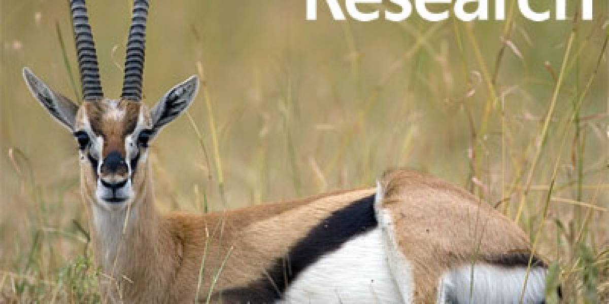 Microsoft Gazelle: Navegador ultraseguro