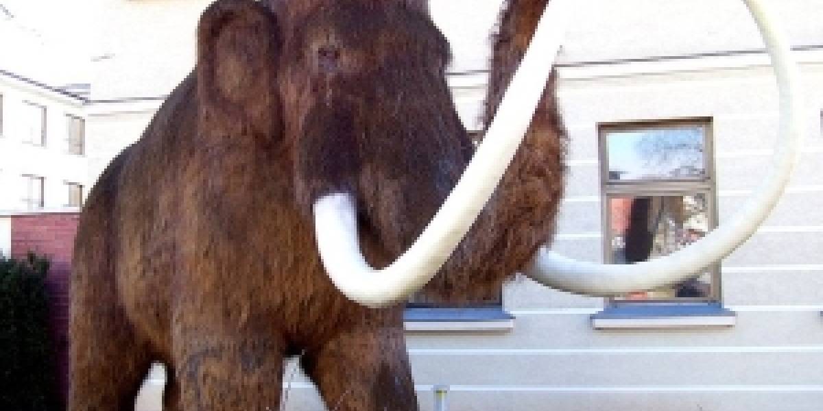 Científicos resucitan la hemoglobina del Mamut