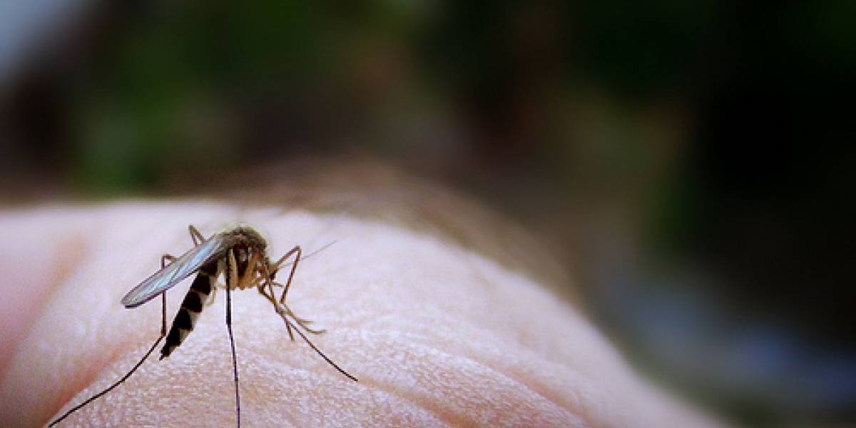 Video: Láser que mata mosquitos