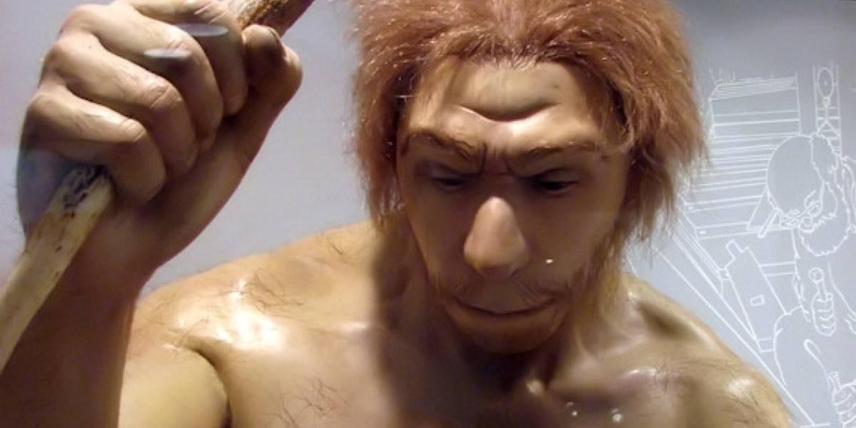 Estudio del genoma Neanderthal esclarece parte de la evolución humana