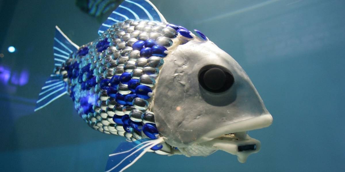 España: Peces robot combatirán la contaminación en el puerto de Gijón