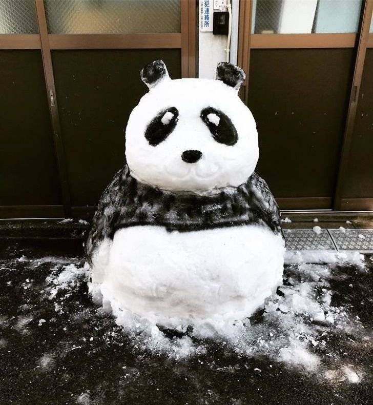 panda