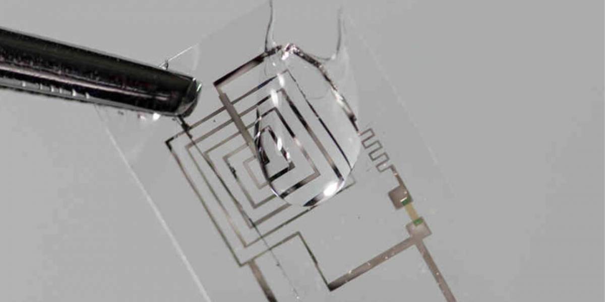 Científicos inventan chips que se disuelven en el cuerpo