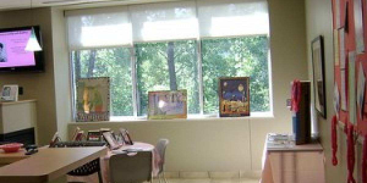 Estudio asegura que las mujeres privilegian la familia por sobre una carrera universitaria