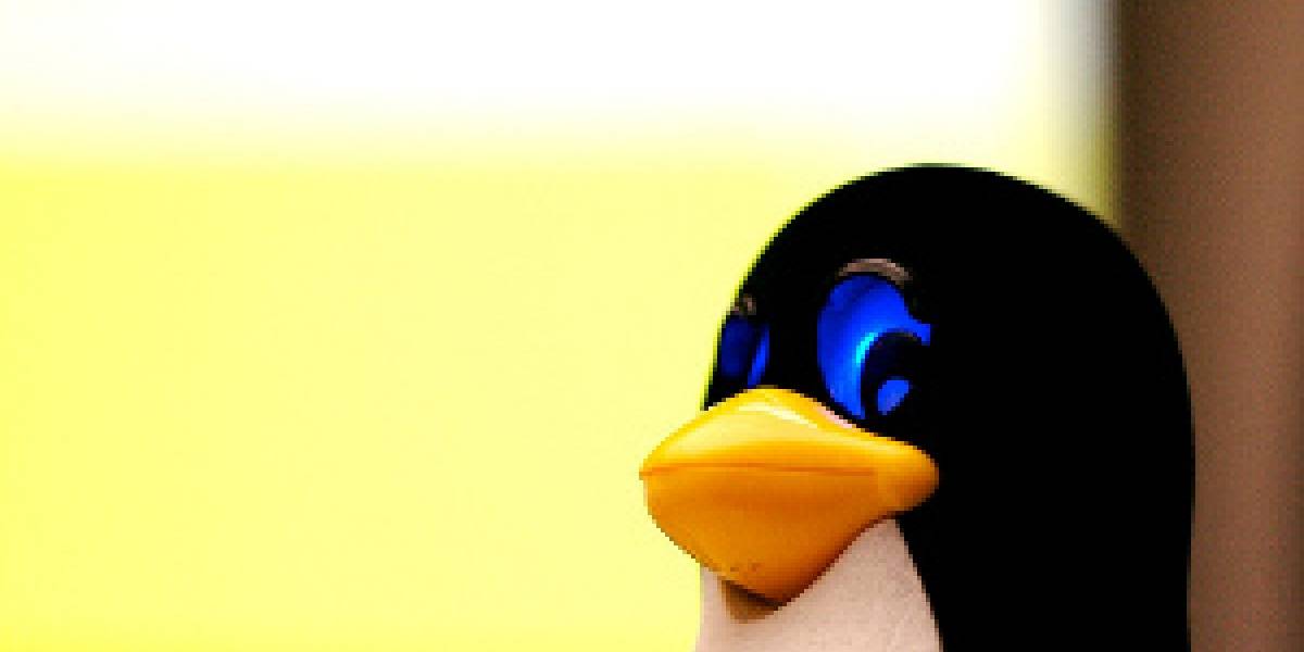 Linux es la plataforma de más rápido crecimiento