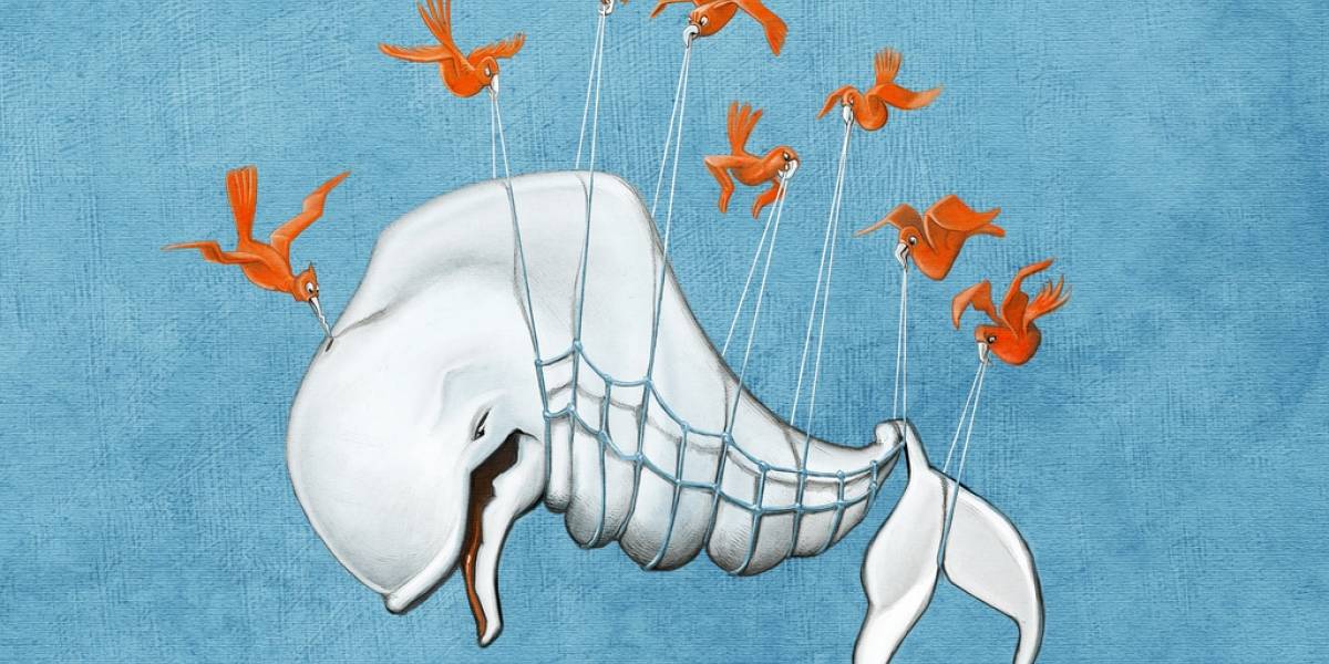 Twitter amablemente pide disculpas por su caída