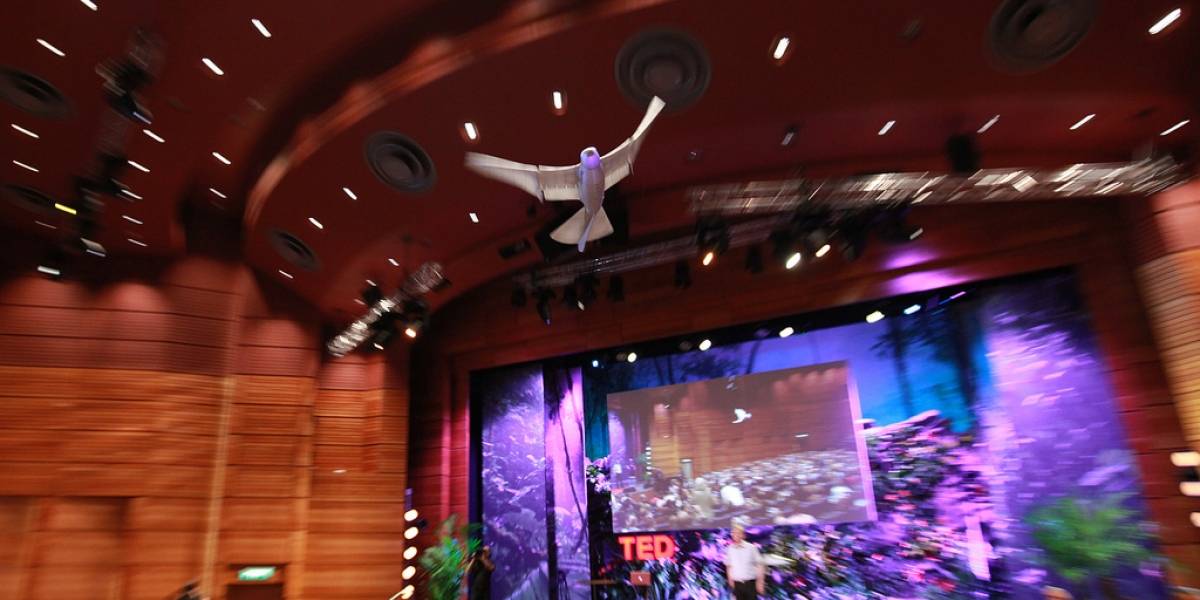 SmartBird cautiva a la audiencia durante una demostración pública en el TEDGlobal 2011