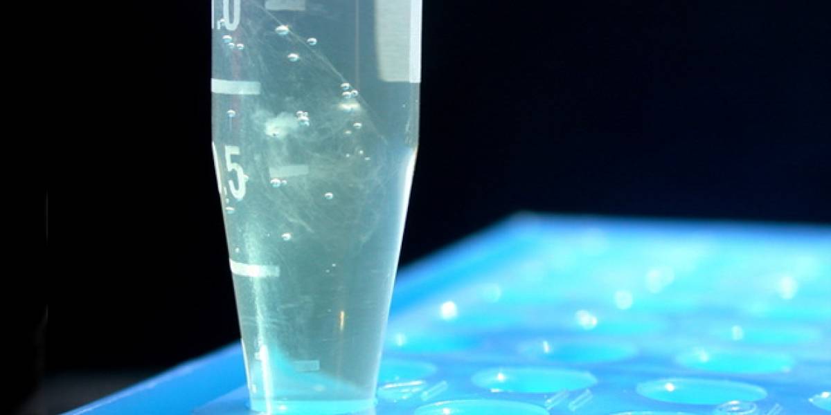 Crean ADN sintético que evoluciona y se replica