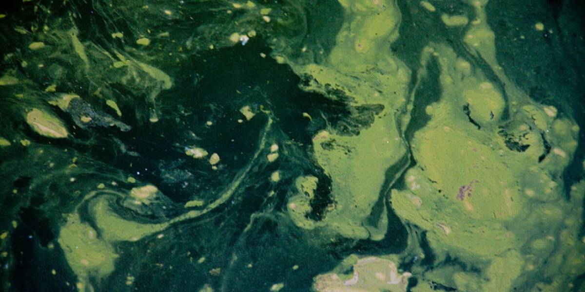 Baterías del futuro podrían generar energía limpiando el agua del baño