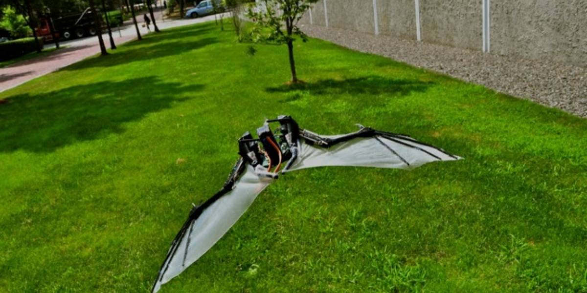 BaTboT: El Drone volador que imita el vuelo del murciélago