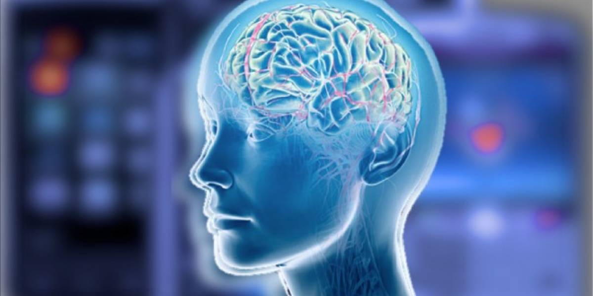Los móviles no causarían cáncer, sugiere nuevo estudio