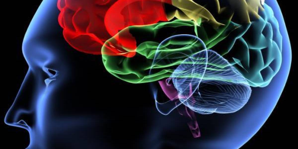 IBM diseña un procesador que pensará como el cerebro