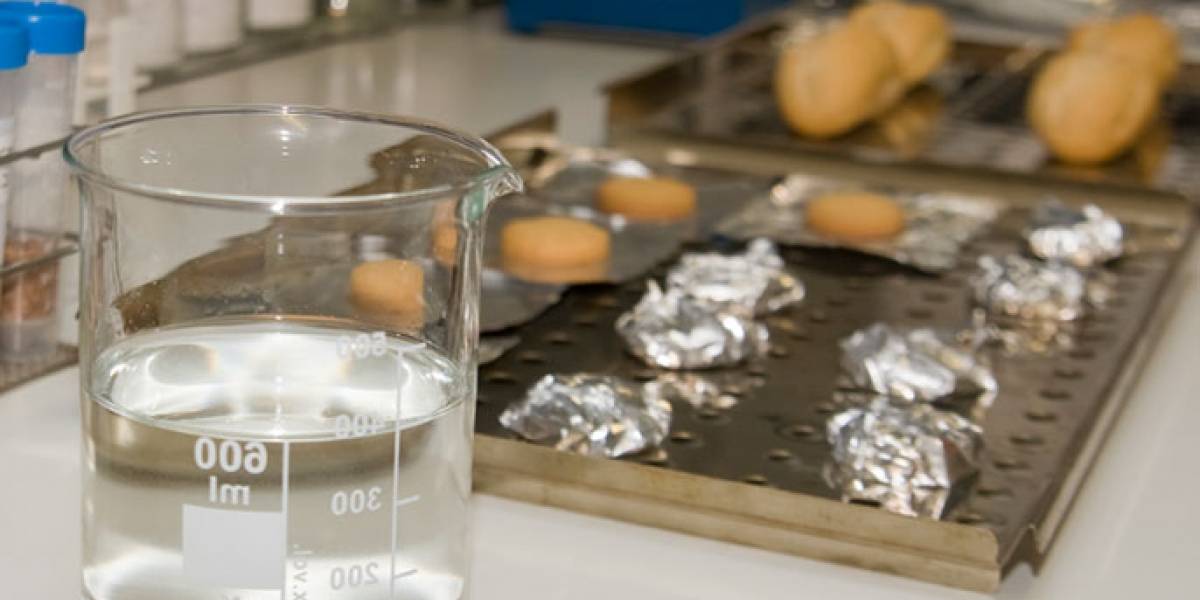 Patentan producto que elimina compuestos cancerígenos de comidas horneadas y fritas