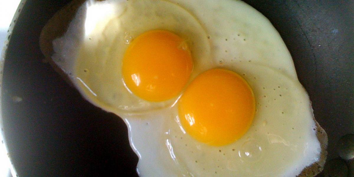WTF? Libro de recetas de Angry Birds