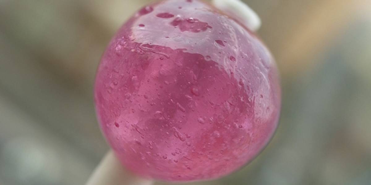 Experimento prueba que los bebés entienden estadística