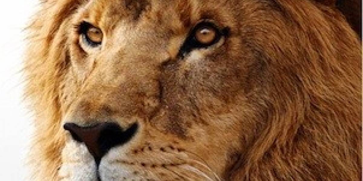 Futurología: OS X Lion se podrá descargar de la Mac App Store