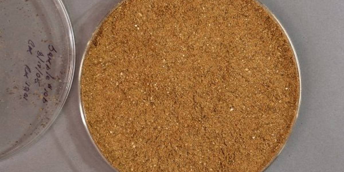 Desarrollan plástico biodegradable hecho de huesos y carne