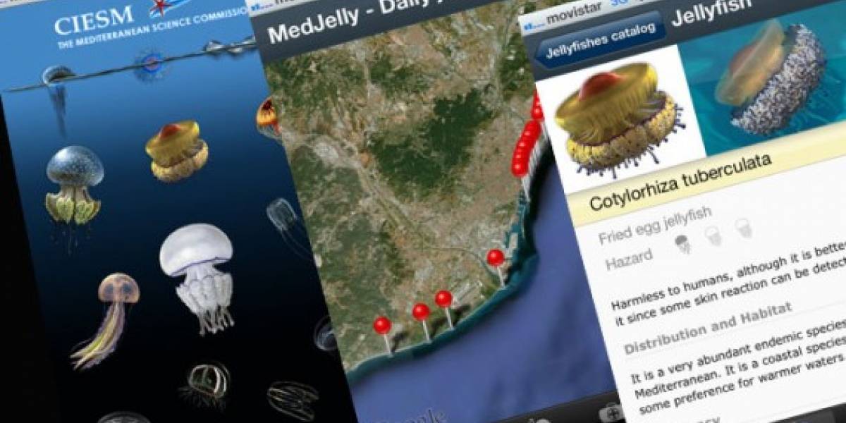 España: Una app iOS alerta de la presencia de medusas en playas de Barcelona