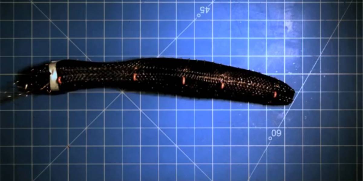 DARPA crea un gusano militar robot indestructible (Video)