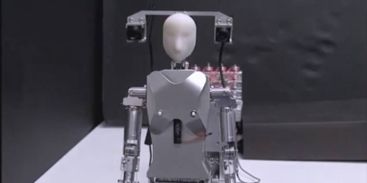 Robot compañero se sienta en tu hombro y te ayuda a conversar