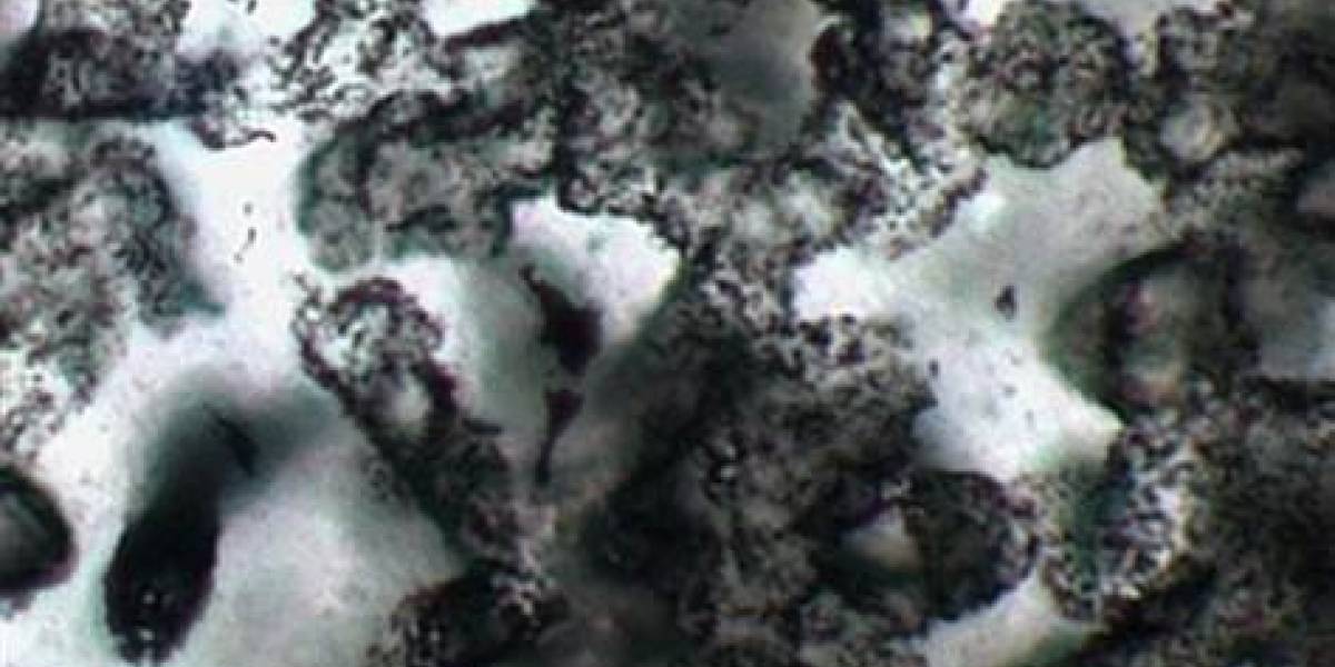 Hallazgo de fósiles en Australia sugiere que la vida en Marte es posible
