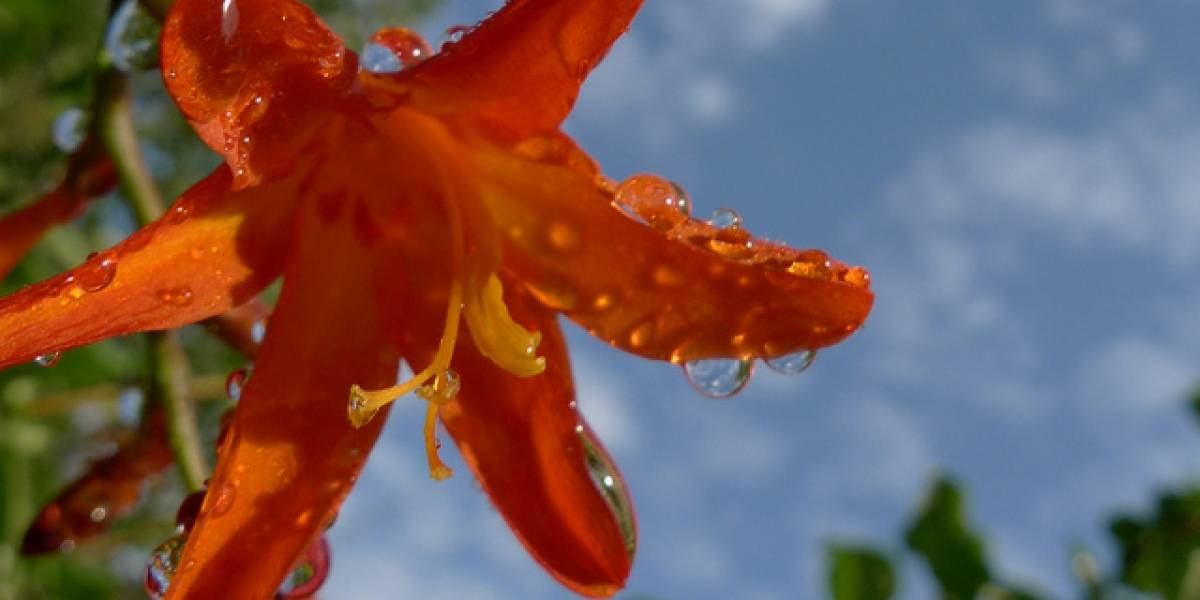 Esta es la foto 6.000 millones de Flickr