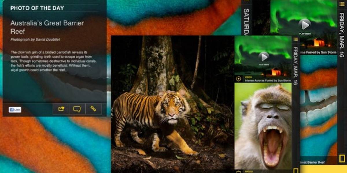 La ciencia y la naturaleza en tu iPad con National Geographic Today