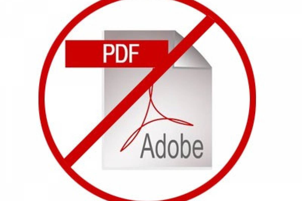Google Dice Adi s Al PDF