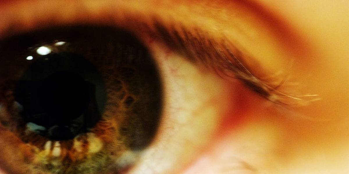 Científicos hacen crecer un ojo de ratón en un laboratorio