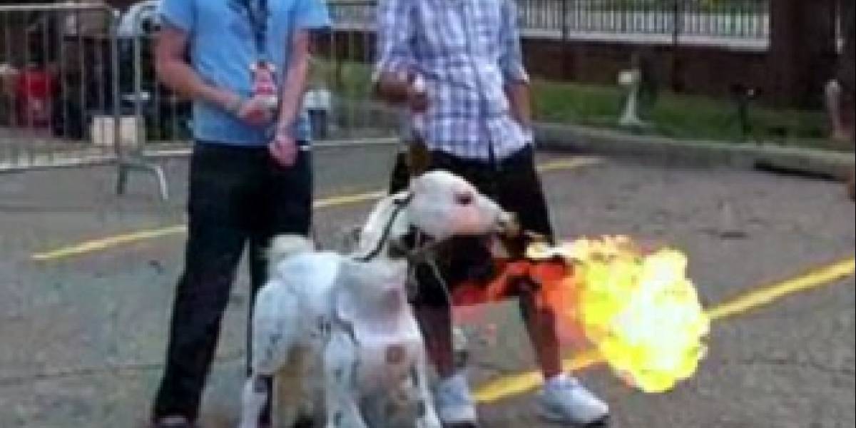 Pasear con un poni (robótico y que escupe fuego) ya no es de niñitas