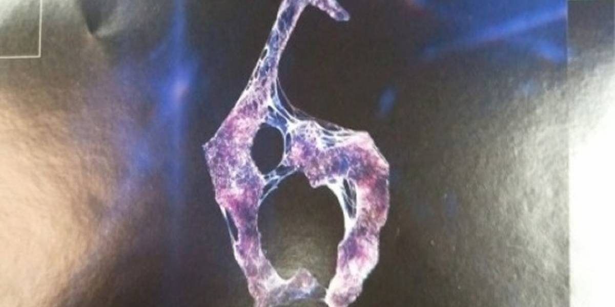 Poster de Resident Evil 6 detectado, su anuncio es inminente