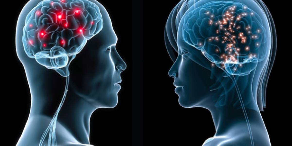 Ver porno adormecería el campo visual del cerebro