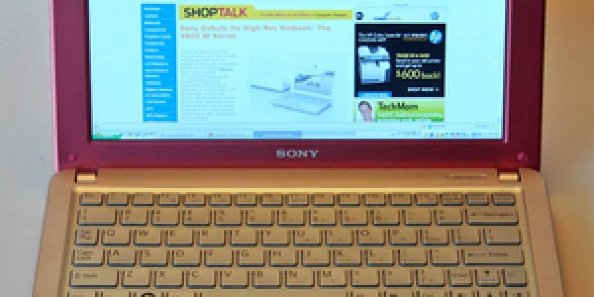 Sony VAIO W posa para las cámaras