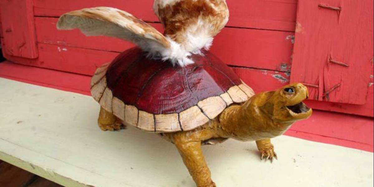 Fan art al extremo: Taxidermia de un Koopa Paratroopa