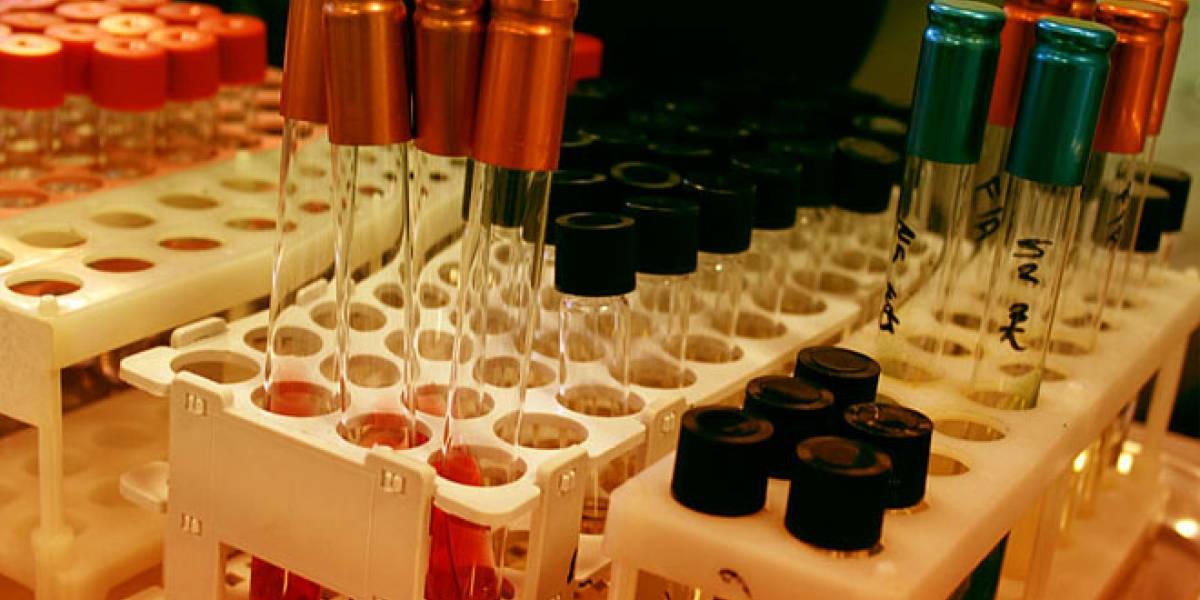 Premio Príncipe de Asturias de Ciencia para avances en inmunología