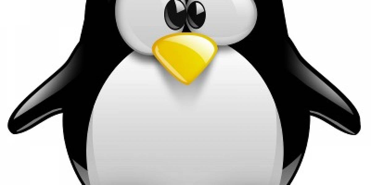 Linux celebra 20 años de existencia con concurso de videos