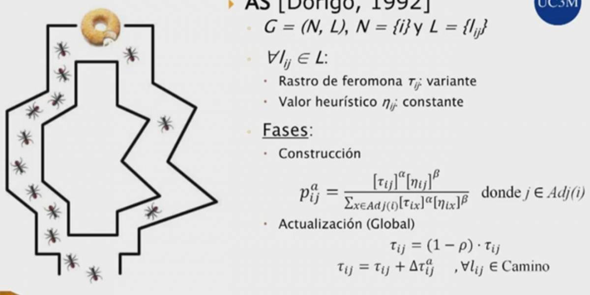 ¿Qué tienen en común las redes sociales y las hormigas? Hay un algoritmo que lo explica