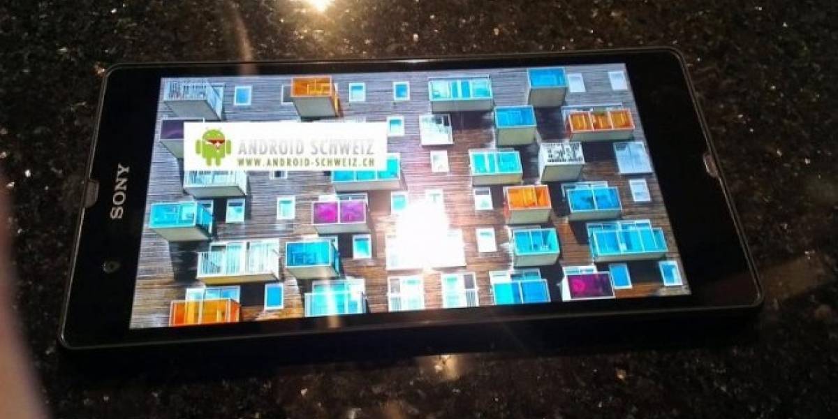 El Sony Yuga posa frente a la cámara