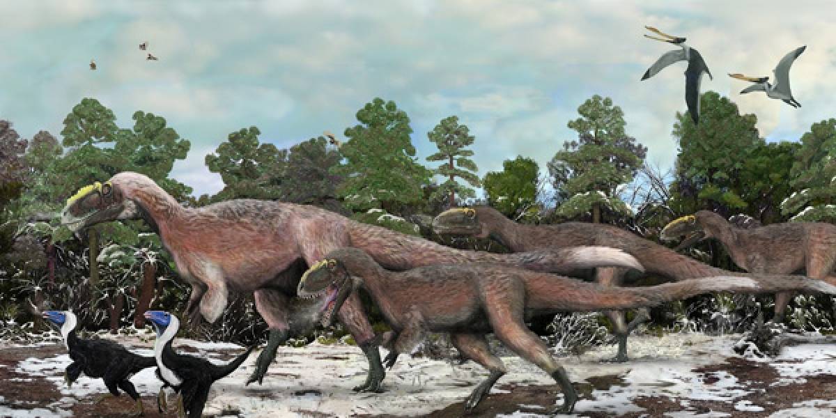 Descubren enorme tiranosaurio emplumado en China